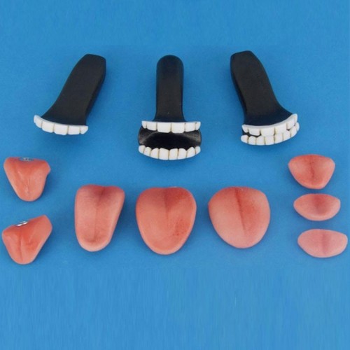 Teeth and Tongue Kits (Resin)